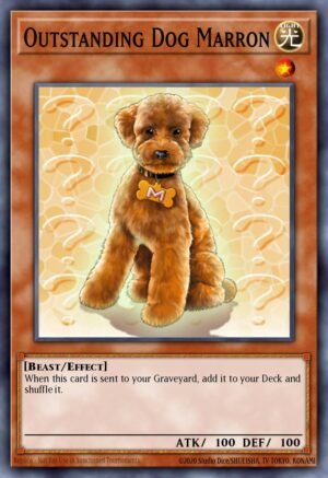 Outstanding Dog Marron (DCR-062)