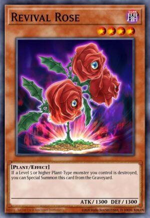 Revival Rose (LDS2-EN098)