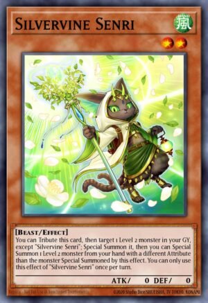 Silvervine Senri (BACH-EN031)