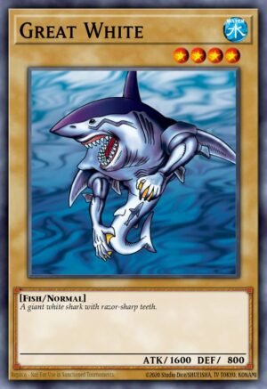 Great White (SBAD-EN021)