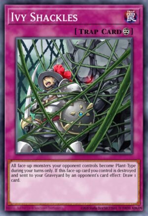 Ivy Shackles (CRMS-EN070)
