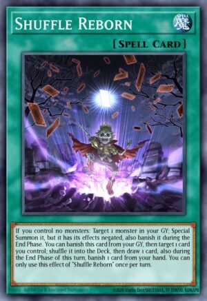 Shuffle Reborn (DOCS-EN053)