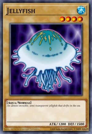 Jellyfish (MRD-072)
