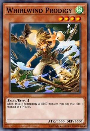Whirlwind Prodigy Whirlwind Prodigy