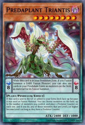 Predaplant Triantis (DIFO-EN019)