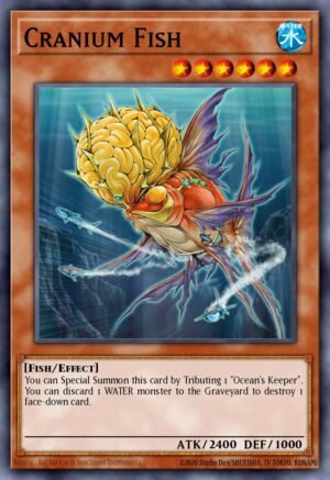 Cranium Fish Cranium Fish