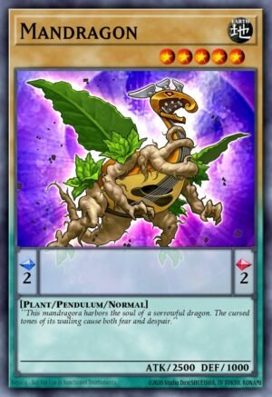Mandragon (CORE-EN097)