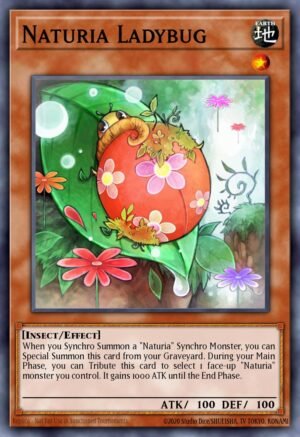 Naturia Ladybug (DT04-EN030)