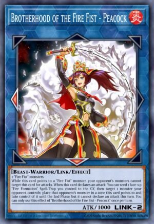 Brotherhood of the Fire Fist – Peacock