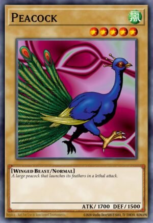 Peacock (MRL-011)