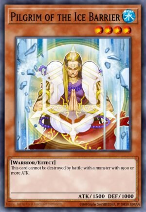 Pilgrim of the Ice Barrier (DT02-EN076)