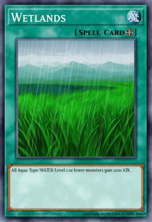 Wetlands Wetlands