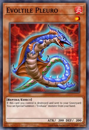 Evoltile Pleuro (ORCS-EN025)