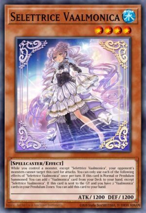 Selettrice Vaalmonica (LEDE-EN022)
