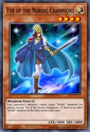 Tyr of the Nordic Champions