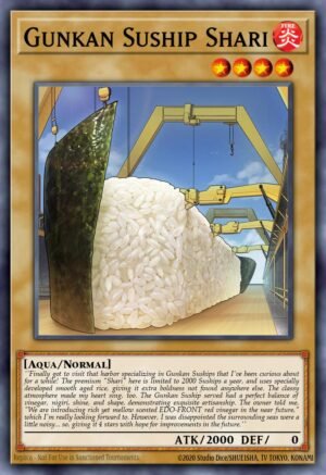 Gunkan Suship Shari (DAMA-EN011)