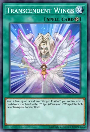 Transcendent Wings Transcendent Wings