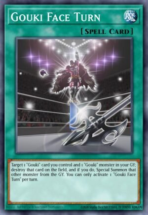 Gouki Face Turn (FLOD-EN056)