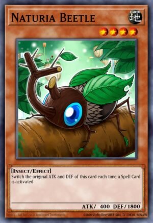 Naturia Beetle (DT02-EN007)