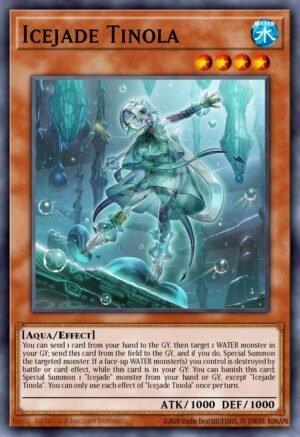 Icejade Tinola (BODE-EN009)
