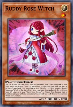 Ruddy Rose Witch (LIOV-EN010)