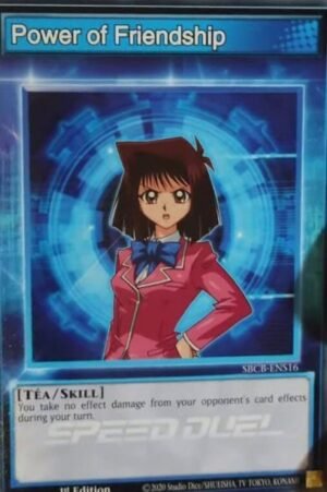 Power of Friendship (SBCB-ENS16)