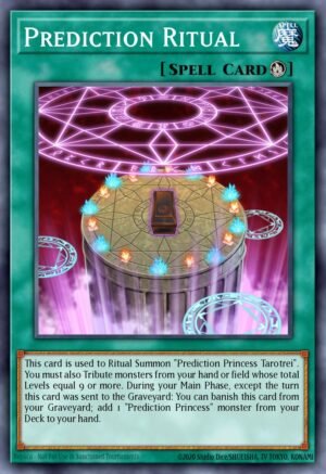 Prediction Ritual (DLCS-EN087)