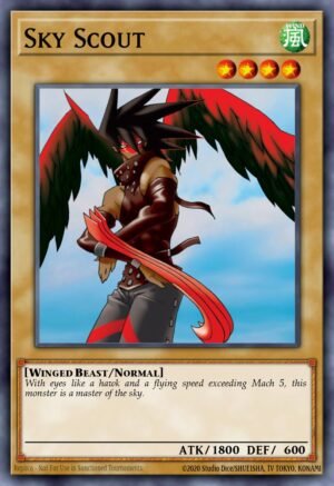 Sky Scout (AP02-EN014)