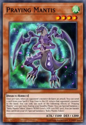 Praying Mantis (BLMR-EN033)