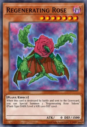 Regenerating Rose (PTDN-EN005)