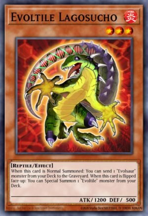 Evoltile Lagosucho (GAOV-EN026)