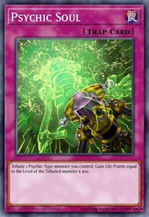 Psychic Soul (ANPR-EN077)