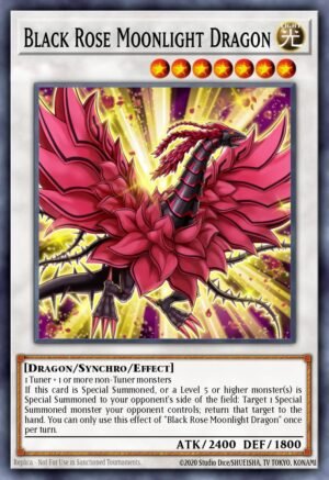 Black Rose Moonlight Dragon Black Rose Moonlight Dragon