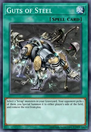 Guts of Steel (DREV-EN086)