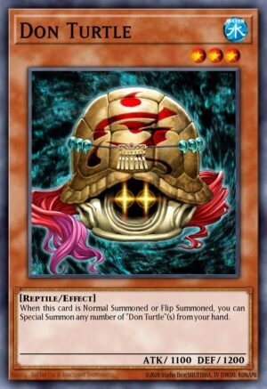 Don Turtle (DR2-EN072)