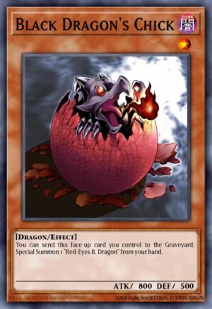 Black Dragon’s Chick