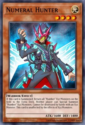 Numeral Hunter (WSUP-EN021)