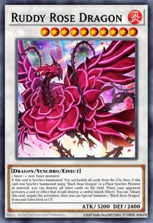 Ruddy Rose Dragon (LIOV-EN035)