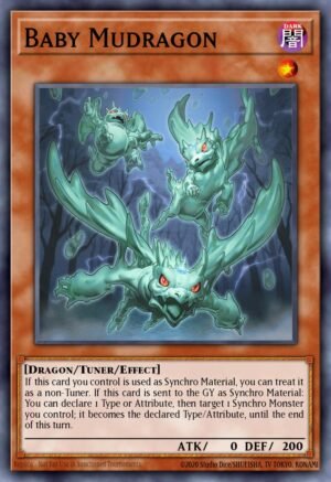 Baby Mudragon Baby Mudragon