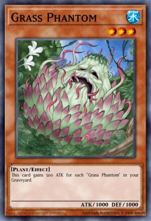 Grass Phantom (DR04-EN151)