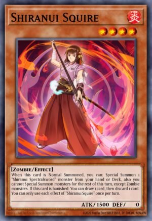 Shiranui Squire (SAST-EN019)
