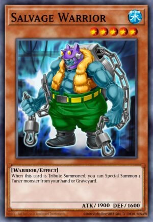 Salvage Warrior (EXVC-EN003)