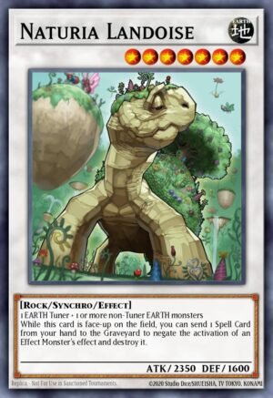 Naturia Landoise (DT04-EN042)