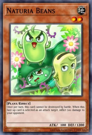 Naturia Beans (DREV-EN028)