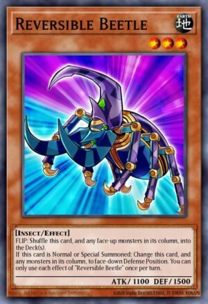 Reversible Beetle (RIRA-EN035)