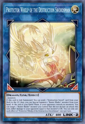 Protector Whelp of the Destruction Swordsman (DUOV-EN008)