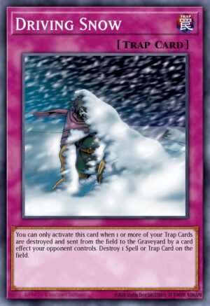 Driving Snow (PSV-018)