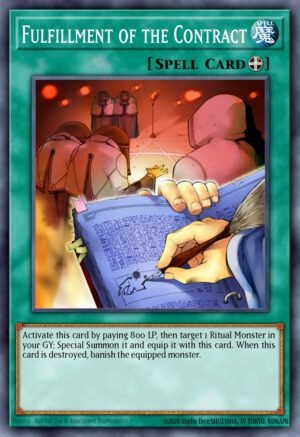 Fulfillment of the Contract (DR3-EN166)