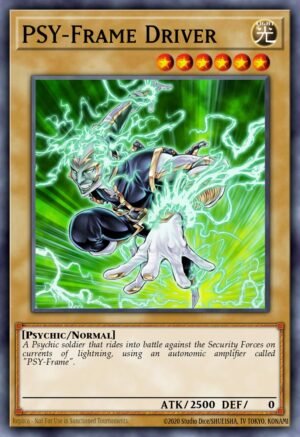 PSY-Frame Driver (BLC1-EN119)