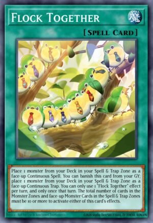 Flock Together (PHNI-EN072)